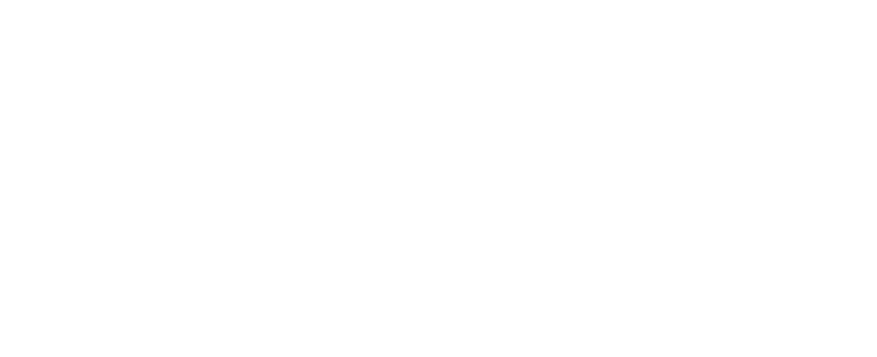 sebs logo